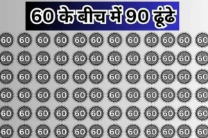 Optical illusions ||  अगर आपके अंदर है दम, क्या खोज पाएंगे 60 के बीच में 90, ढूंढ लिया तो मान जायेगे शहंशाह