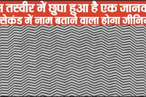 Optical Illusion || इस तस्वीर में छुपा हुआ है एक जानवर, 10 सेकंड में नाम बताने वाला होगा जीनियस