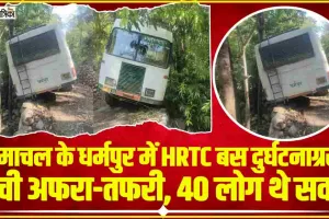 Himachal News || हिमाचल में HRTC का बड़ा सड़क हादसा होने से टला, पेड़ से टकराई बस, यात्रियों में मची चीख-पुकार