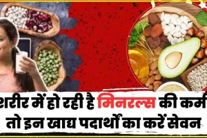 Minerals Rich Food || विटामिन और मिनरल्स की कमी है? तो दूर करने का ये सबसे असरदार उपाय