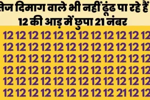 Optical illusion ||  तेज दिमाग वाले भी नहीं ढूंढ पा रहे हैं 12 की आड़ में छुपा 21 नंबर, क्या आप ढूंढ पाओगे