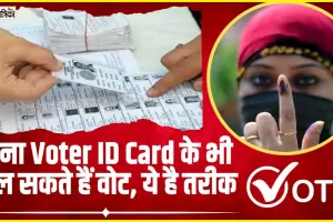 Vote without Voter ID || आपके पास वोटर आईडी नहीं है? परेशान मत हों,  जानिए कैसे डाल सकते हैं वोट