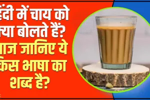 Which Language word is Chai || किस भाषा का शब्द है 'चाय', हिंदी में इसे क्या कहते हैं? शौकीनों को भी नहीं पता होगा इसका जवाब ...