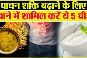 Increase Digestion Power ||  इन चीजों को खाने से पावरफुल बनता है पाचन तंत्र, डेली डाइट में शामिल कर स्ट्रॉन्ग बनाएं अपना हाजमा