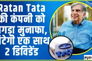 Ratan Tata की कंपनी को तगड़ा मुनाफा, बांटेगी एक साथ 2 डिविडेंड