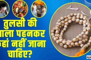 Tulsi Mala Niyam || तुलसी की माला पहनने के भी हैं खास नियम, भूलकर भी न करें ये गलती