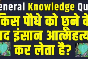 General Knowledge Quiz ||  किस पौधे को छूने के बाद इंसान आत्महत्या कर लेता है?