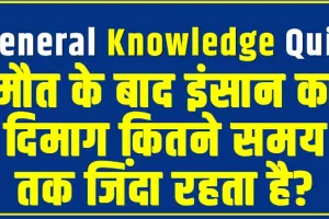 Trending Quiz : मौत के बाद इंसान का दिमाग कितने समय तक जिंदा रहता है?