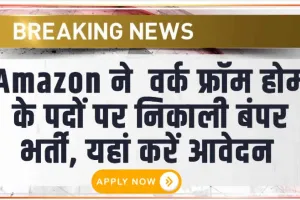 Amazon Work Form Home || Amazon ने  वर्क फ्रॉम होम के पदों पर निकाली बंपर भर्ती, यहां करें आवेदन 