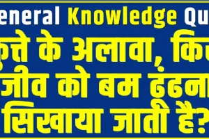 Trending Quiz || कुत्ते के अलावा, किस जीव को बम ढूंढना सिखाया जाता है?