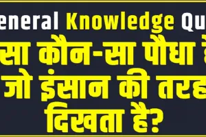 General Knowledge Trending Quiz || ऐसा कौन-सा पौधा है, जो इंसान की तरह दिखता है?