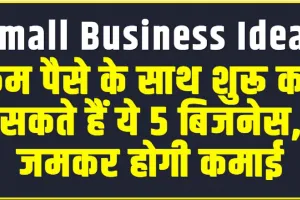 Small Business Ideas ||  कम पैसे के साथ शुरू कर सकते हैं ये 5 बिजनेस, जमकर होगी कमाई