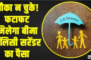 LIC Policy Surrender || मौका न चुके! फटाफट मिलेगा बीमा पॉलिसी सरेंडर का पैसा, नियमों में हुआ बदलाव