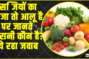 GK Quiz In Hindi || सब्जियों का राजा तो आलू है पर जानते हैं रानी कौन है? ये रहा जवाब