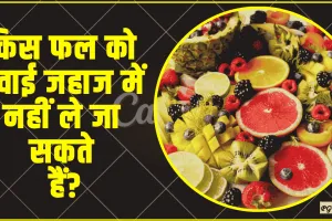 General Knowledge Quiz || किस फल को हवाई जहाज में नहीं ले जा सकते हैं?