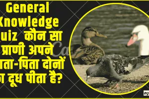 General Knowledge Quiz ||  कौन सा प्राणी अपने माता-पिता दोनों का दूध पीता है?