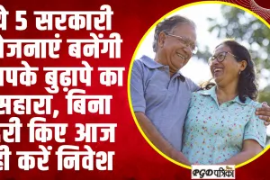 Best 5 Government Scheme | ये 5 सरकारी योजनाएं बनेंगी आपके बुढ़ापे का सहारा, Retirement पहले जाने ले निवेश करने का सही तरीका