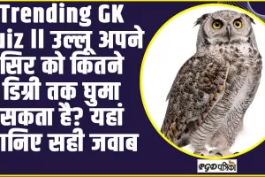 Trending GK Quiz ll उल्लू अपने सिर को कितने डिग्री तक घुमा सकता है? यहां जानिए सही जवाब