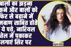 Health Tips ||  बालों का झड़ना रोकने और बालों को फिर से बढ़ाने में रामबाण साबित होते हैं ये पत्ते, नारियल तेल में पकाकर लगाएं सिर पर 