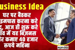 Business Idea ll घर पर बैठकर टाइमपास करना करे बंद, आज ही शुरू करे गाँव में यह बिज़नस और कमाए 40 हजार रूपये महिना