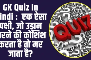 GK Quiz In Hindi :  एक ऐसा पक्षी, जो उड़ान भरने की कोशिश करता है तो मर जाता है?