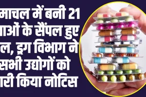 Himachal News: हिमाचल में बनी 21 दवाओं के सैंपल हुए फेल, ड्रग विभाग ने सभी उद्योगों को जारी किया नोटिस