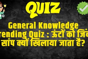 Trending Quiz :  ऊंटों को जिंदा सांप क्यों खिलाया जाता है?