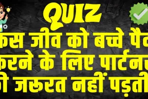 General Knowledge Trending Quiz : किस जीव को बच्चे पैदा करने के लिए पार्टनर की जरूरत नहीं पड़ती?