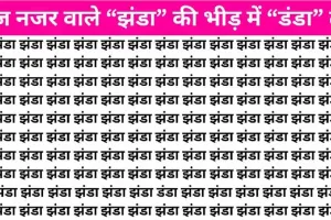 Optical illusions Brain Test Image: अगर आपके पास दिमाग बचा है तो बताईये  “झंडा” के बीच में कहां लिखा है “डंडा”, सिर्फ 7 सेकंड में ढूंढ लेंगे