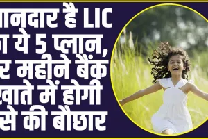 LIC Best 5 scheme 2024: शानदार है LIC का ये 5 प्लान, हर महीने बैंक खाते में होगी पैसे की बौछार