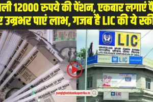 LIC Saral Pension Plan: हर महीने आपको मिलेगी 12000 रुपये की पेंशन, बस LIC की इस स्कीम में एक बार करना होगा निवेश 