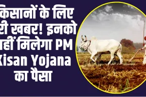 PM Kisan Samman Nidhi Yojana update:  दिन निकलते ही किसानों के लिए बुरी खबर! इनको नहीं मिलेगा PM Kisan Yojana का पैसा, खाते में नहीं आएगी किस्त