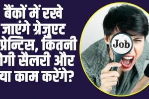 Bank Jobs : बैंकों में रखे जाएंगे ग्रेजुएट अप्रेन्टिस, क‍ितनी होगी सैलरी और क्‍या काम करेंगे?