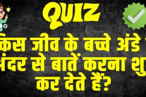 GK Quiz in Hindi : किस जीव के बच्चे अंडे के अंदर से बातें करना शुरू कर देते हैं?