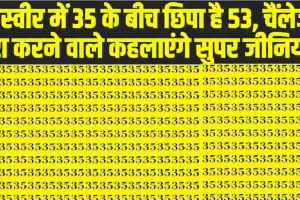 Optical Illusion: तस्वीर में 35 के बीच छिपा है 53, चैंलेज पूरा करने वाले कहलाएंगे सुपर जीनियस