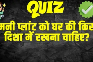 Trending Quiz : मनी प्लांट को घर की किस दिशा में रखना चाहिए?