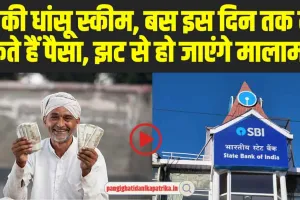 SBI FD Scheme: SBI की यह योजना कई निवेषकों के लिए बनी वरदान, बंपर मिल रहा है इंटरेस्ट रेट