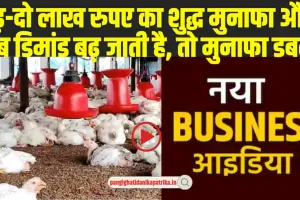 New Business Idea : हर महीने दो लाख तक का तगड़ा मुनाफा, इस बिजनेस में हर दिन बड़ रही तगड़ी डिमांड