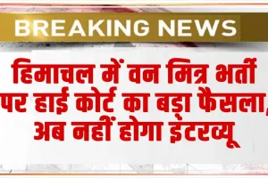 High Court Decision :  हिमाचल में वन मित्र भर्ती पर हाई कोर्ट का बड़ा फैसला, अब नहीं होगा इंटरव्यू