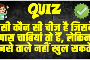 general knowledge Quiz In Hindi: ऐसी कौन सी चीज है जिसके पास चाबियां तो हैं, लेकिन उनसे ताले नहीं खुल सकते?