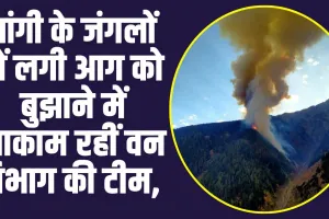 पांगी के जंगलों में लगी आग को बुझाने में नाकाम हुई वन विभाग की  टीम, 150 करीब देवदार के पेड़ हुए राख  