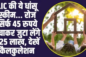 LIC Jeevan Anand Policy :  LIC की इस स्कीम में केवल 45 रूपये जमा करने पर इतने साल बाद मिलेगा ₹25 लाख, देखें कैलकुलेशन