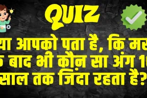 Trending Quiz : क्या आपको पता है, कि मरने के बाद भी कौन सा अंग 10 साल तक जिंदा रहता है?