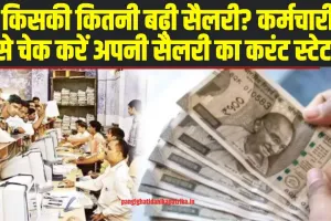 8th Pay Commission News:  सरकारी कर्मचारियों के लिए बड़ी खुशखबरी, कर्मचारी ऐसे चेक करें अपनी सैलरी का करंट स्टेटस