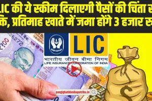 LIC best policy: LIC की ये स्कीम बदल देगी आपकी किस्मत, हर महीने खाते में जमा होंगे 30000 रुपए