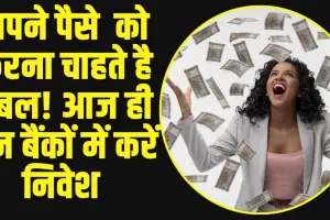 Fixed Deposit Best Bank: अपने पैसे  को करना चाहते है डबल! आज ही इन बैंकों में करें निवेश 