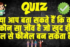 General Knowledge: क्या आप बता सकते हैं कि वह कौन सा जीव है जो खुद ही मेल से फीमेल बन सकता है?