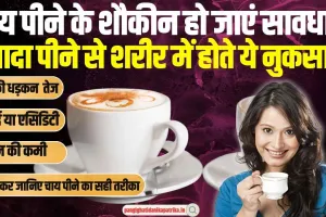 Disadvantages of drinking too much tea: चाय पीने के शौकीन हो जाएं सावधान, ज्यादा पीने से शरीर में होते ये नुकसान