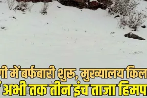 Snowfall in Pangi: पांगी में बर्फबारी शुरू, सुराल से किलाड़ रूट पर आ रही HRTC बस फंसी 