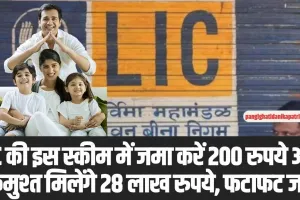 LIC Jeevan Pragati: LIC की इस स्कीम में जमा करें 200 रुपये और एकमुश्त मिलेंगे 28 लाख रुपये, फटाफट जानें